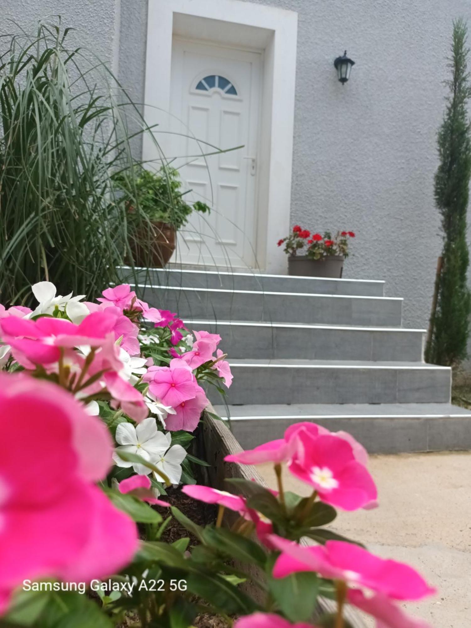 Villa San Salvador Torreilles Plage Zewnętrze zdjęcie